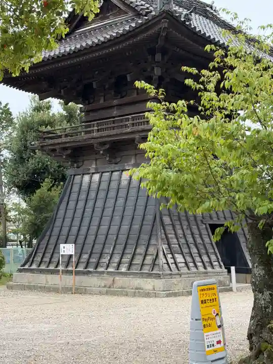 大樹寺(松安院大樹寺)の{uncategorized: "未分類", other: "その他", undefined: "問題あり", building: "その他建物", grave: "お墓", sacred_gate: "鳥居", guardian: "狛犬", statue: "像", buddha: "仏像", history: "歴史", nature: "自然", garden: "庭園", animal: "動物", pagoda: "塔", temizu: "手水舎", mountain_gate: "山門・神門", sanctuary: "本殿・本堂", subordinate: "末社・摂社", art: "芸術", scenery: "景色", jizo: "地蔵", ema: "絵馬", goshuin: "御朱印", omikuji: "おみくじ", items: "授与品その他", amulet: "お守り", goshuincho: "御朱印帳", eats: "食事", festival: "お祭り", votive_dance: "神楽", shichigosan: "七五三参", wedding: "結婚式", experience: "体験その他", initially: "初詣", around: "周辺", anti_infection: "感染症対策"}
