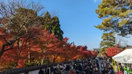 禅林寺（永観堂）(京都府)