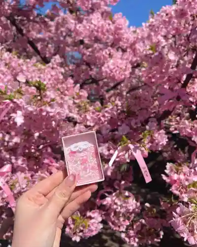 桜神宮(東京都)