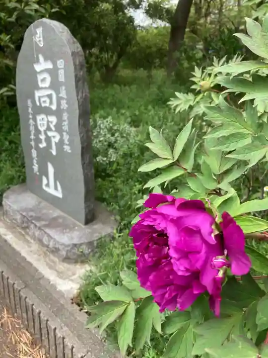 妻沼聖天山歓喜院(埼玉県)