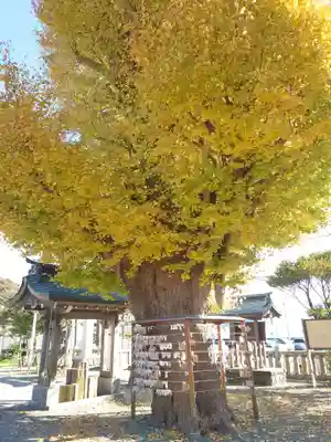 鴨居八幡神社(神奈川県)