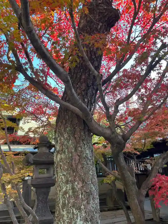 久留米宗社 日吉神社(福岡県)