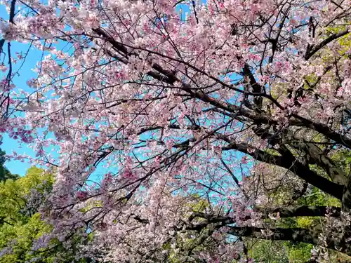 花園稲荷神社(東京都)