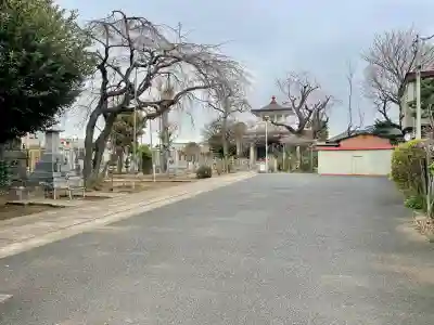 領玄寺の{uncategorized: "未分類", other: "その他", undefined: "問題あり", building: "その他建物", grave: "お墓", sacred_gate: "鳥居", guardian: "狛犬", statue: "像", buddha: "仏像", history: "歴史", nature: "自然", garden: "庭園", animal: "動物", pagoda: "塔", temizu: "手水舎", mountain_gate: "山門・神門", sanctuary: "本殿・本堂", subordinate: "末社・摂社", art: "芸術", scenery: "景色", jizo: "地蔵", ema: "絵馬", goshuin: "御朱印", omikuji: "おみくじ", items: "授与品その他", amulet: "お守り", goshuincho: "御朱印帳", eats: "食事", festival: "お祭り", votive_dance: "神楽", shichigosan: "七五三参", wedding: "結婚式", experience: "体験その他", initially: "初詣", around: "周辺", anti_infection: "感染症対策"}