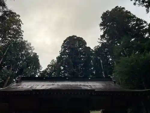 大宮温泉神社(栃木県)