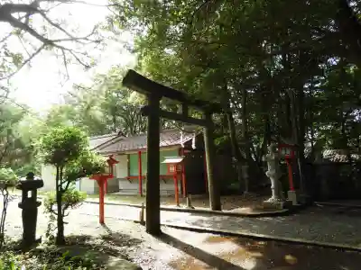 照島神社の鳥居