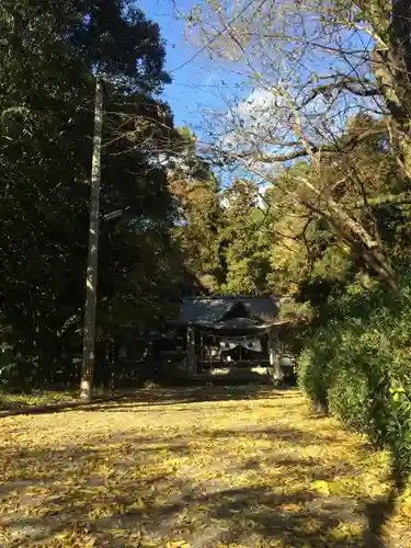 秦神社の自然