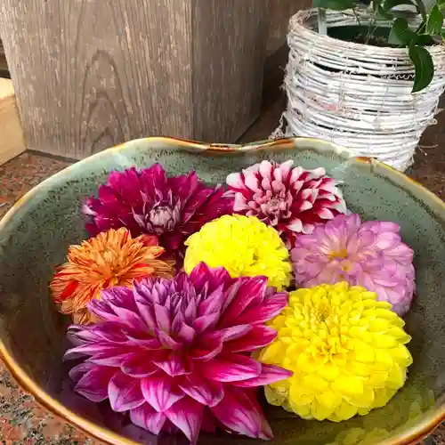 伊和志津神社のその他建物