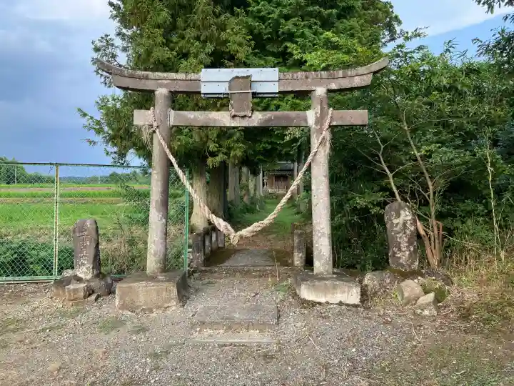 荒井箒根神社(栃木県)