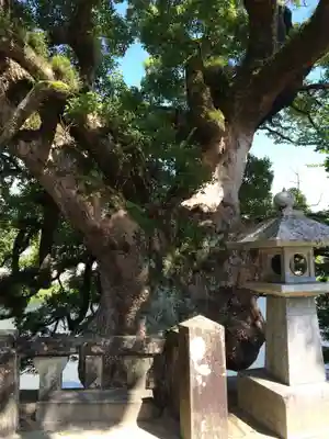 與止日女神社(佐賀県)