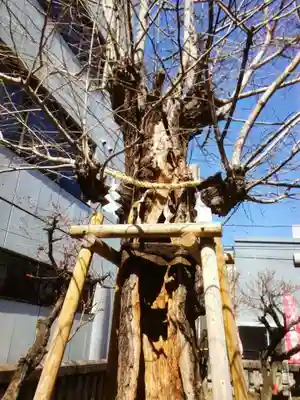 青葉台北野神社(東京都)