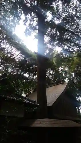 金砂神社の本殿