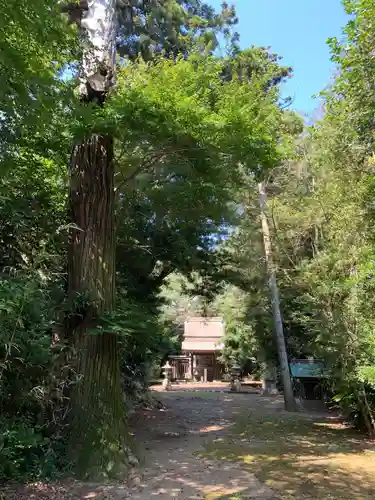 三社大神(千葉県)