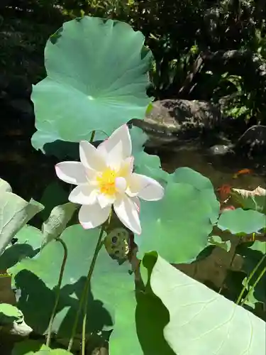 長谷寺の庭園