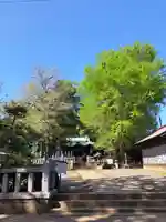 鶴嶺八幡宮(神奈川県)