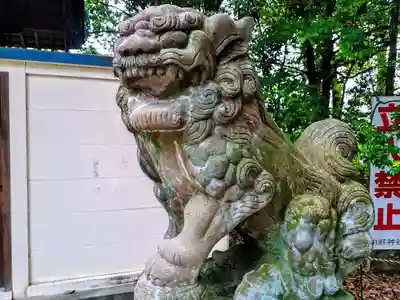 田縣神社の狛犬