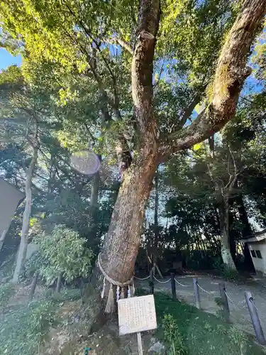 春日神社(大阪府)
