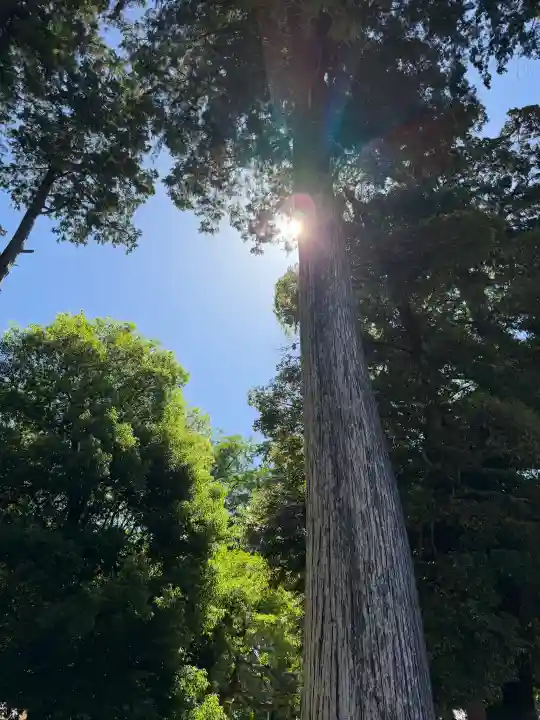豊川閣 妙厳寺(愛知県)