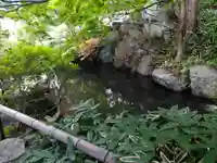 崇禅寺の手水舎