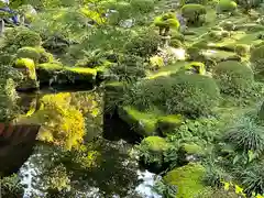 三千院門跡(京都府)