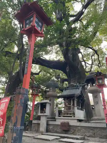 若一神社(京都府)
