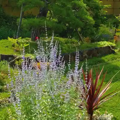 寿量山 速成寺の庭園