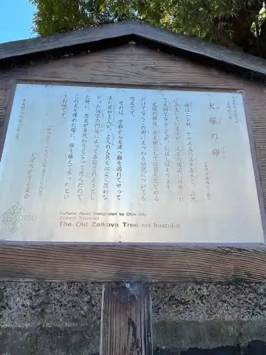 犬塚・犬塚の欅(滋賀県)