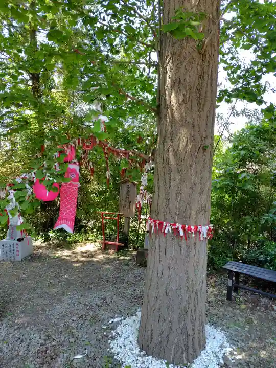 鹿角八坂神社(秋田県)