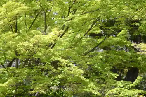 建仁寺（建仁禅寺）(京都府)