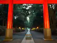 大宮八幡宮の鳥居