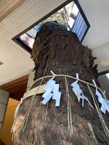 乃木神社の自然