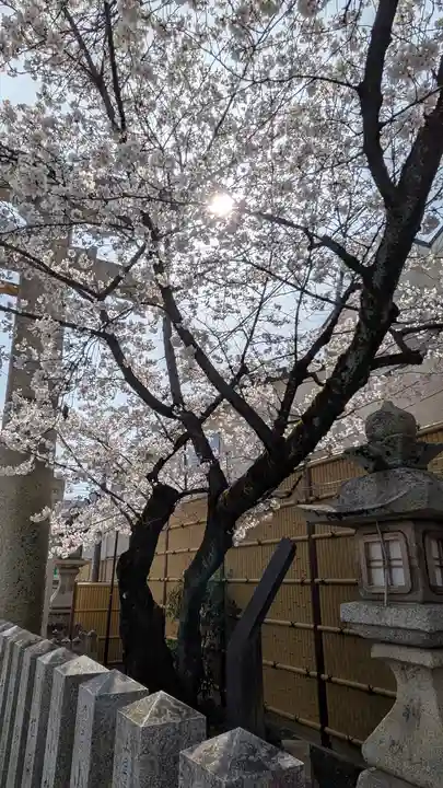 向日神社(京都府)