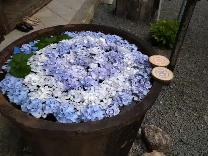 柳谷観音 楊谷寺(京都府)