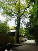 伊勢神宮外宮(豊受大神宮)(三重県)