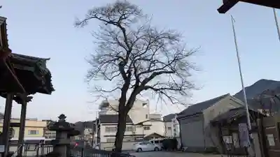 秩父札所十三番 慈眼寺の自然