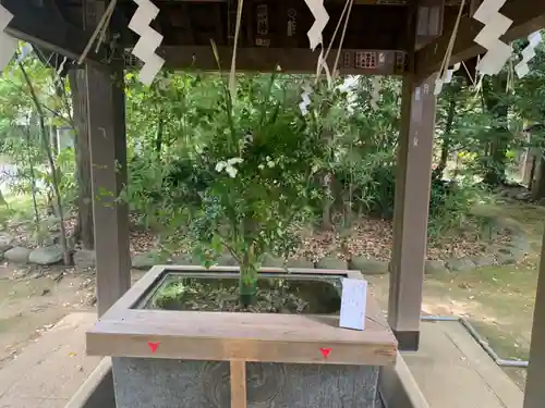 赤坂氷川神社の手水