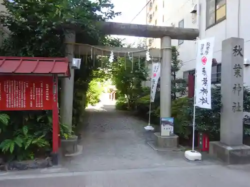 秋葉神社の鳥居