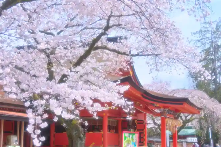 富士山本宮浅間大社(静岡県)