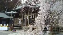 常陸第三宮　吉田神社の本殿