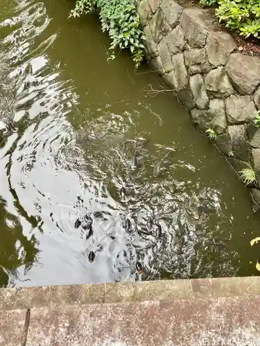 宮山神社(神奈川県)