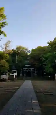 篠崎浅間神社の鳥居
