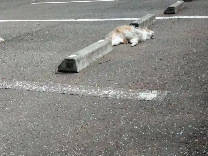 前原御嶽神社の動物