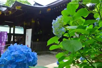 渋谷氷川神社(東京都)