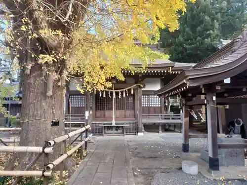 印内八坂神社の本殿・本堂