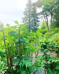 滑川神社 - 仕事と子どもの守り神の周辺