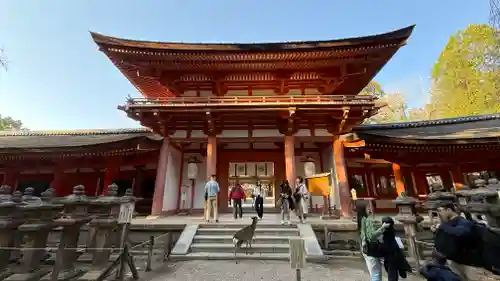 春日大社(奈良県)