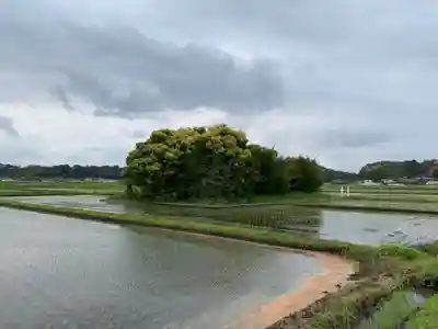 嚴島神社(千葉県)