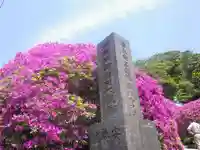 安養院 (田代寺)の自然