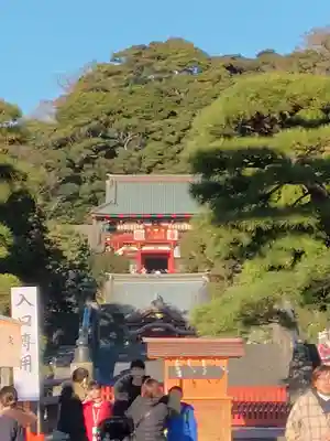 鶴岡八幡宮の初詣