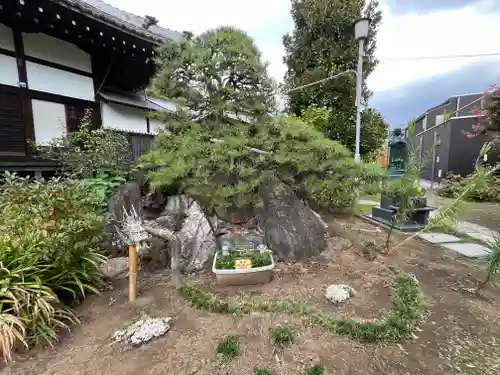 金蔵寺(神奈川県)
